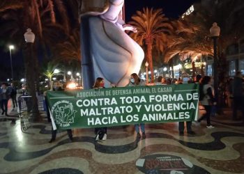 Activistas conciencian en Alicante sobre el maltrato animal extremo para la producción de foie gras