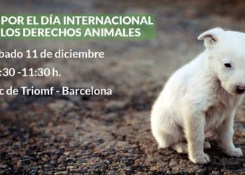 PACMA organiza un homenaje a todos los animales maltratados en el marco del Día Internacional de los Derechos de los Animales