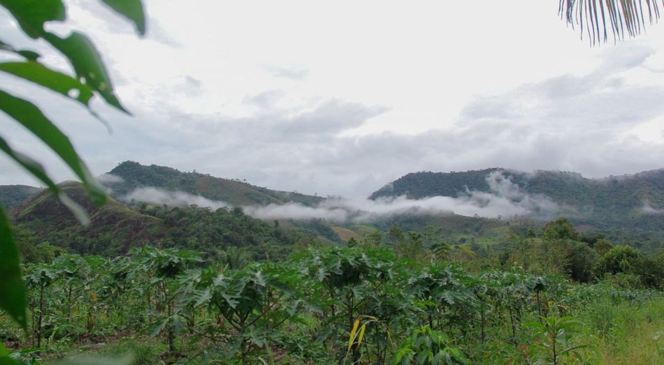 Un líder indígena asesinado y otros cuatro desaparecidos en Perú