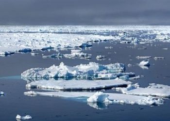 Cambio climático: nueva temperatura récord en el Ártico