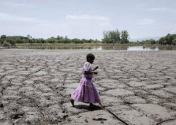 Argentina: Suelos saludables para una vida saludable