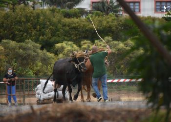 PACMA, tras la manifestación «por el mundo rural»: «son colectivos autolesivos que culpan a la sociedad de haberse quedado atrás»