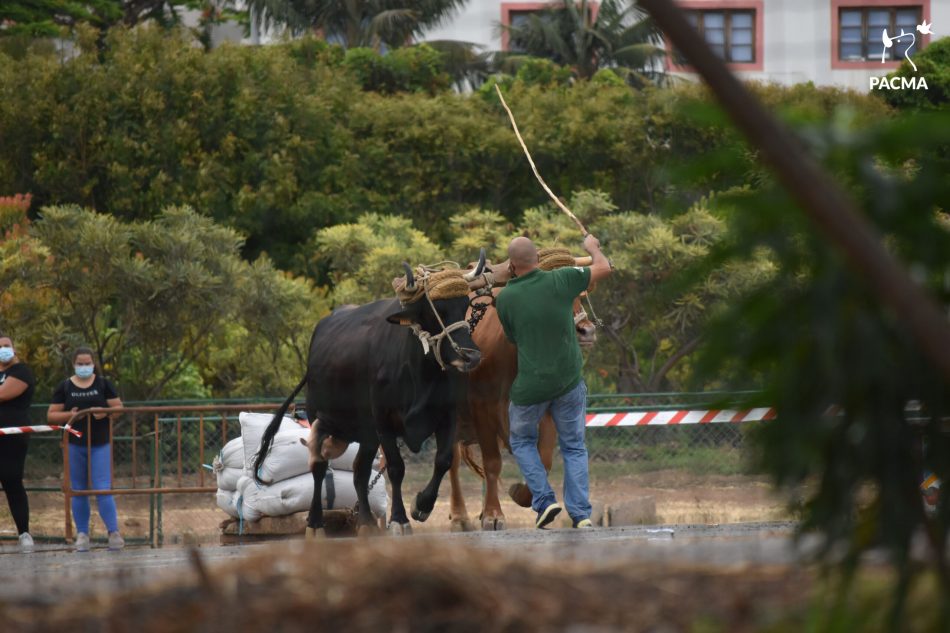 PACMA, tras la manifestación «por el mundo rural»: «son colectivos autolesivos que culpan a la sociedad de haberse quedado atrás»