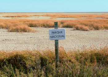 Salvemos Doñana propone un nuevo impulso a un modelo que devuelva sus valores y prestigio a la comarca y el espacio natural