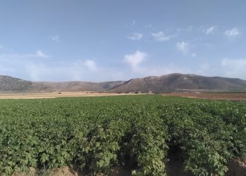 Acuíferos Vivos denunciará ante Europa la problemática del agua en la provincia de Almería