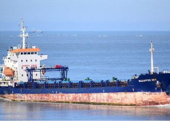 Ecologistas manifiesta su preocupación por la llegada a Sevilla de dos barcos con 12.000 toneladas tóxicas