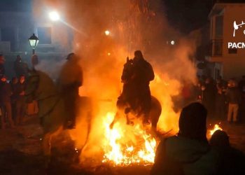 PACMA denuncia el maltrato a los caballos que saltan el fuego en las Luminarias de San Bartolomé de Pinares (Ávila)