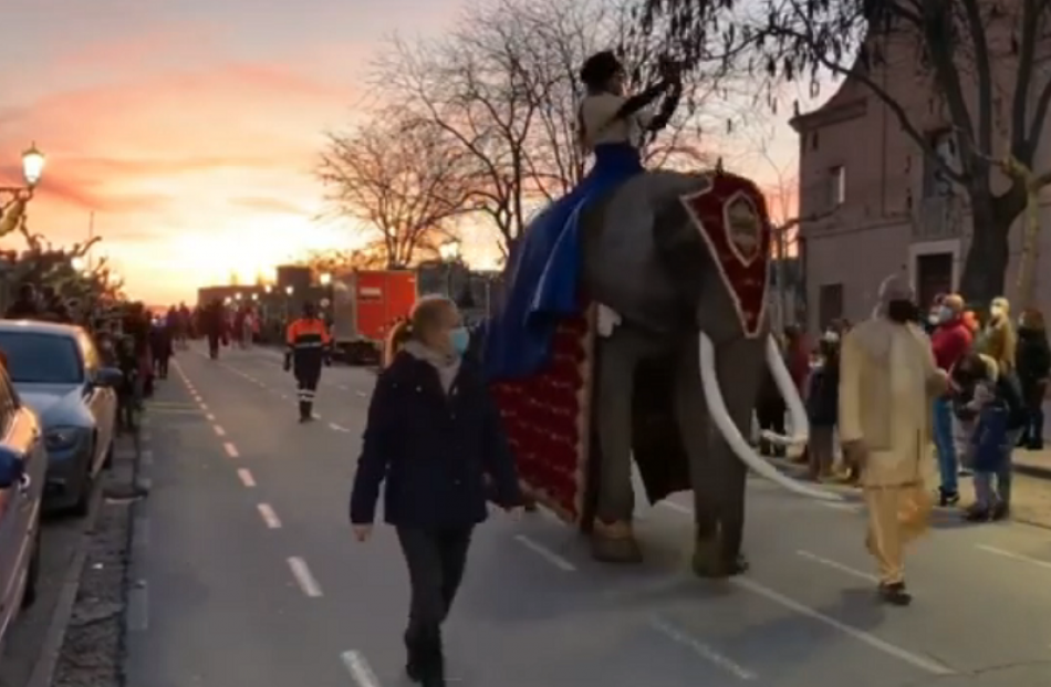 PACMA afea al Ayuntamiento de Medina del Campo que haya vuelto a usar animales en la cabalgata de Reyes Magos