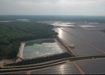 Verdes EQUO lleva al Parlamento europeo la propuesta de ampliación de las hectáreas de regadío en Doñana