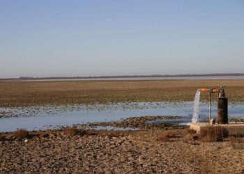 Presentan nuevo manifiesto de la Plataforma Salvemos Doñana en defensa del agua del Parque Nacional