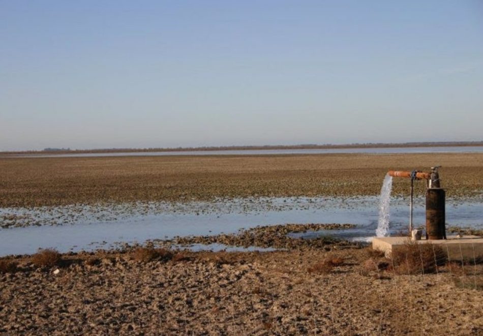 Presentan nuevo manifiesto de la Plataforma Salvemos Doñana en defensa del agua del Parque Nacional