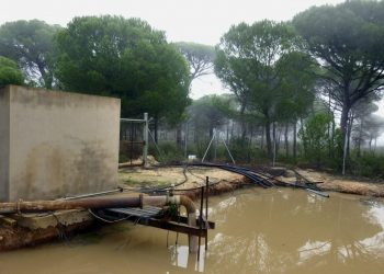 Alianza Verde reclama un plan de choque valiente contra el robo de agua en Doñana para garantizar su adecuada conservación