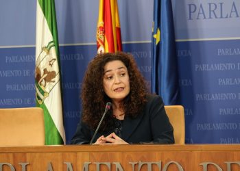 Unidas Podemos reúne a sindicatos, colegios profesionales y mareas para abordar la situación de la sanidad pública andaluza