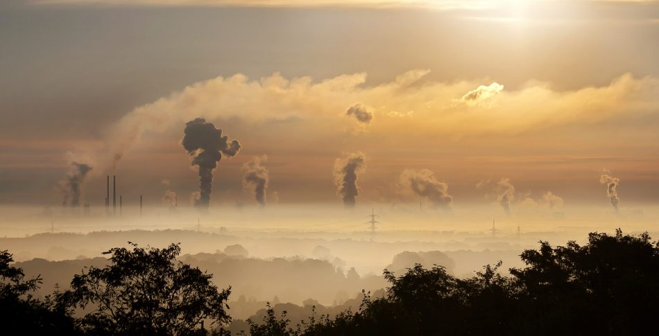 PACMA se posiciona con las energías limpias: «se están tomando decisiones autodestructivas»