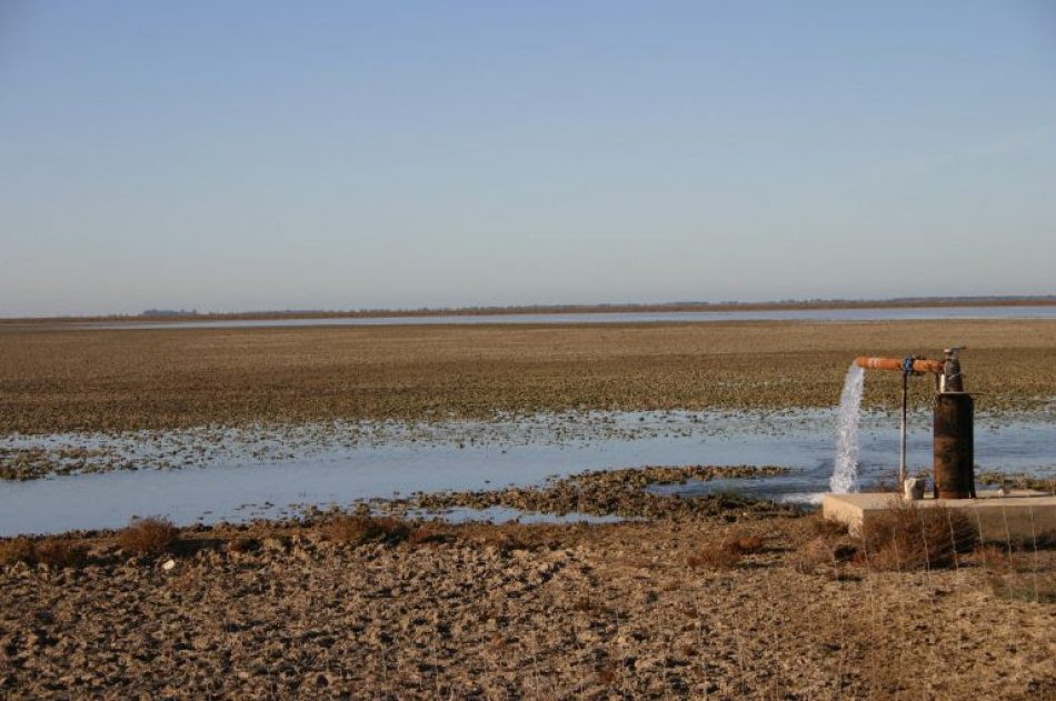 Valero acusa a Moreno de “engañar a los agricultores de Doñana” porque “sabe que ha generado expectativas inviables”