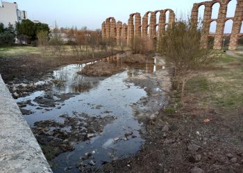 Denuncian que el Ayuntamiento de Mérida ha eliminado decenas de árboles durante la limpieza del río Albarregas