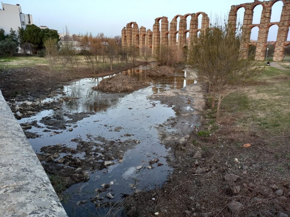 Denuncian que el Ayuntamiento de Mérida ha eliminado decenas de árboles durante la limpieza del río Albarregas