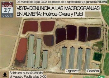 Conmemoración del Día Mundial del Agua 22 de marzo. Acuíferos Vivos