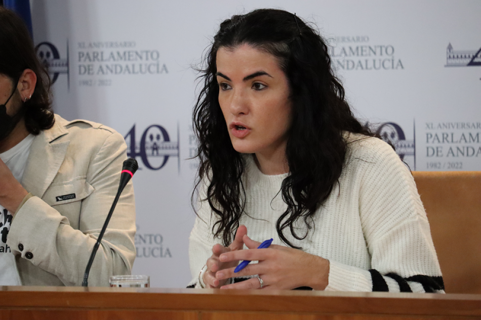 Unidas Podemos presenta una batería de propuestas para ampliar la vivienda pública en Andalucía y luchar contra la especulación