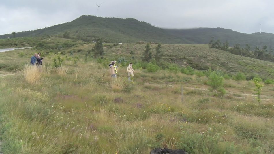 Achegas a Lei de montes veciñais en man común de Galicia