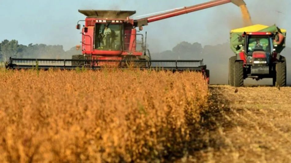 Argentina pone en marcha el Fondo Estabilizador del Trigo para intentar detener su encarecimiento