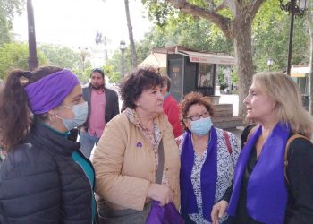 IU presenta una declaración institucional en Sevilla para solicitar el indulto a María Salmerón