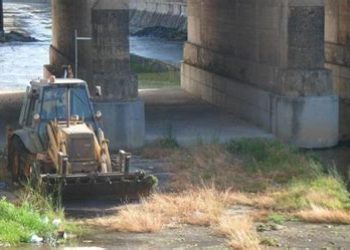 Ecologistas en Acción afirma que la Confederación Hidrográfica debió impedir la tala de árboles en el Albarregas