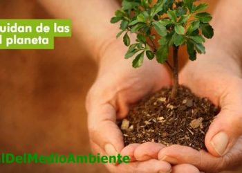 Verdes EQUO pide a la ciudadanía que exija medidas y no promesas en el Día Mundial del Medio Ambiente