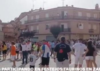 Indignación en Zamora: un vídeo grabado por PACMA muestra las calles llenas de niños durante el festejo del Torito del Alba de Benavente