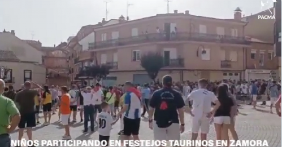 Indignación en Zamora: un vídeo grabado por PACMA muestra las calles llenas de niños durante el festejo del Torito del Alba de Benavente