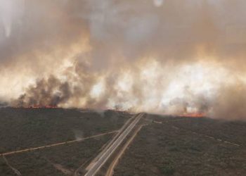 La geografía profesional solicita un cambio de modelo para prevenir los incendios forestales