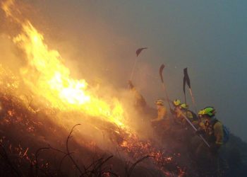 La Agencia Internacional de Investigación sobre el cáncer califica la actividad de bomberas y bomberos como cancerígeno del grupo 1