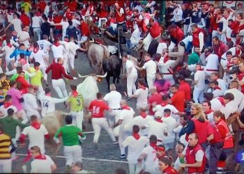 PACMA solicita a RTVE que no retransmita los encierros de San Fermín en horario infantil