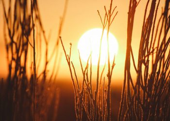 Un nuevo episodio de altas temperaturas anticipa un mes de agosto cálido y seco