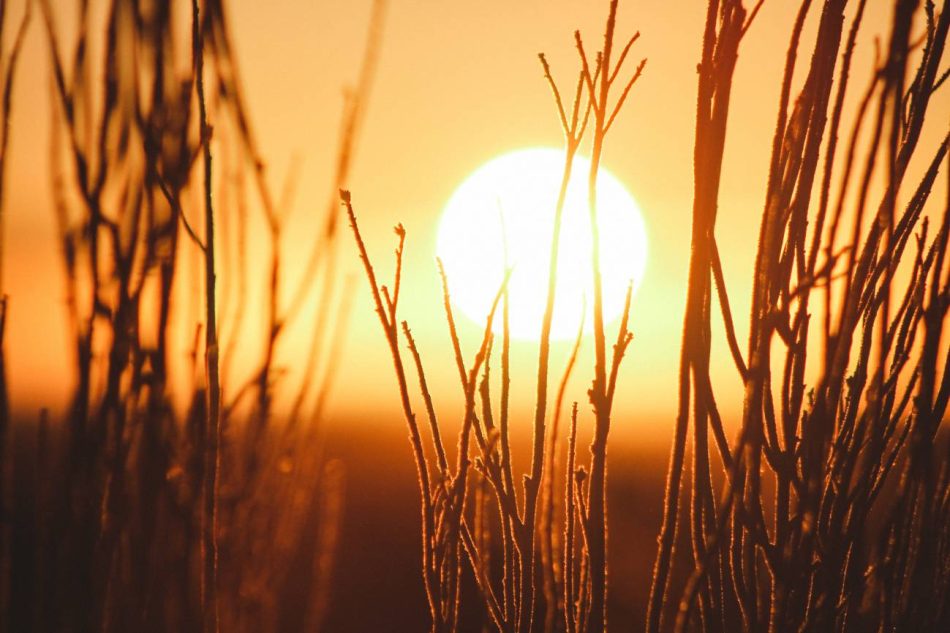 Un nuevo episodio de altas temperaturas anticipa un mes de agosto cálido y seco