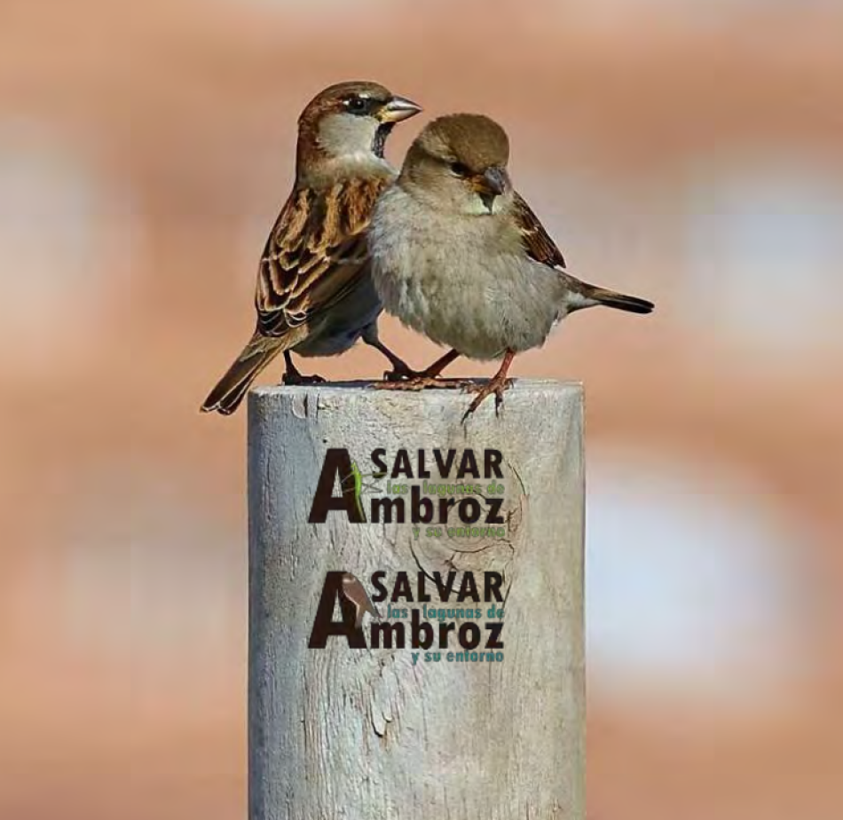 La biodiversidad de las Lagunas de Ambroz inventariada gracias a la sensibilidad y responsabilidad ciudadana