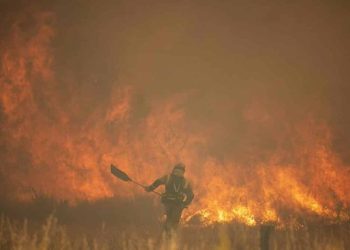 IU CyL propone cambiar radicalmente el operativo de extinción de incendios forestales
