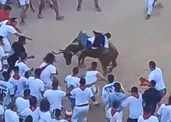 Una horda de borrachos asedia una vaquilla en los Sanfermines al son de «Bella Ciao»