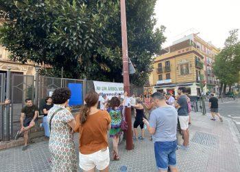 Lamentan “la técnica del avestruz” del gobierno municipal de Sevilla con la tala del ficus de San Jacinto y le exige “que cambie de rumbo de forma urgente”