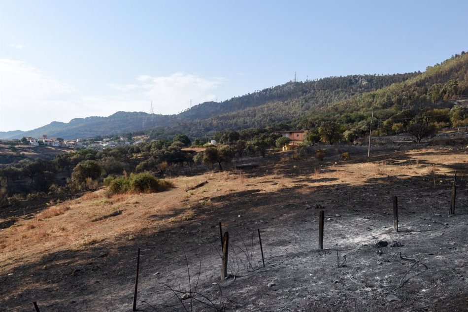 Piden la declaración como Zona de Actuación Urgente y la suspensión de los aprovechamientos cinegéticos en las zonas afectadas por graves incendios en Extremadura