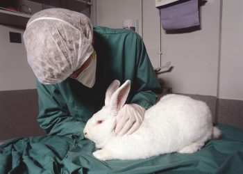 Europe’s citizens demand an end to animal testing