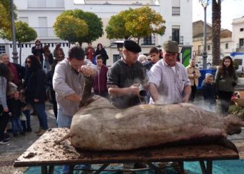 Verdes de Europa  insta al gobierno central a que la nueva Ley de protección animal prometida sea digna de la España del Siglo XXI