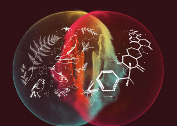 Impulsores genéticos: la ciencia señala que esta nueva tecnología entraña serios peligros a la biodiversidad