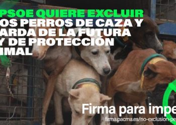 PACMA alerta de que la Fiscalía avisó al Gobierno sobre los peligros de la reforma del Código Penal en materia de protección animal