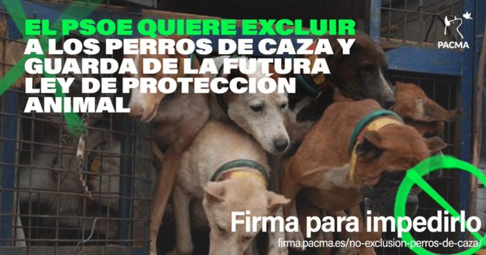 PACMA alerta de que la Fiscalía avisó al Gobierno sobre los peligros de la reforma del Código Penal en materia de protección animal