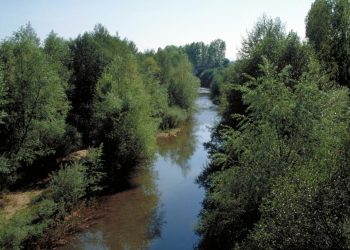 Reclaman el cumplimiento de los caudales ecológicos en los ríos madrileños