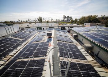 Por Andalucía pide que la Junta aproveche los tejados de edificios públicos para instalar placas fotovoltaicas