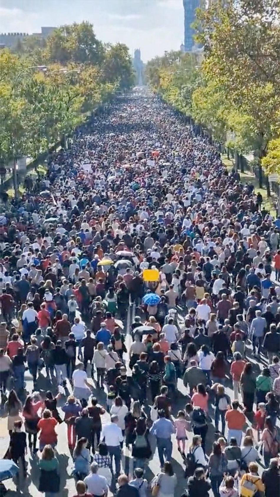 Día Mundial de la Salud, un derecho amenazado