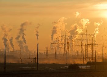 Alertan de que los principales bancos españoles continúan omitiendo información relevante sobre el impacto ambiental de sus operaciones financieras