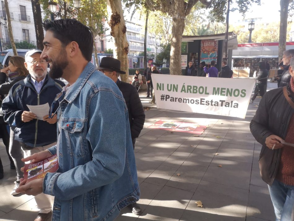 Ismael Sánchez pide al Ayuntamiento de Sevilla que se haga cargo del ficus centenario de San Jacinto